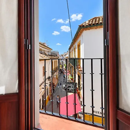 Rosas En La Balconada&apartment In Historic Center Apartamento Córdova