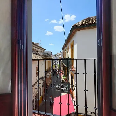 Rosas En La Balconada&apartment In Historic Center *